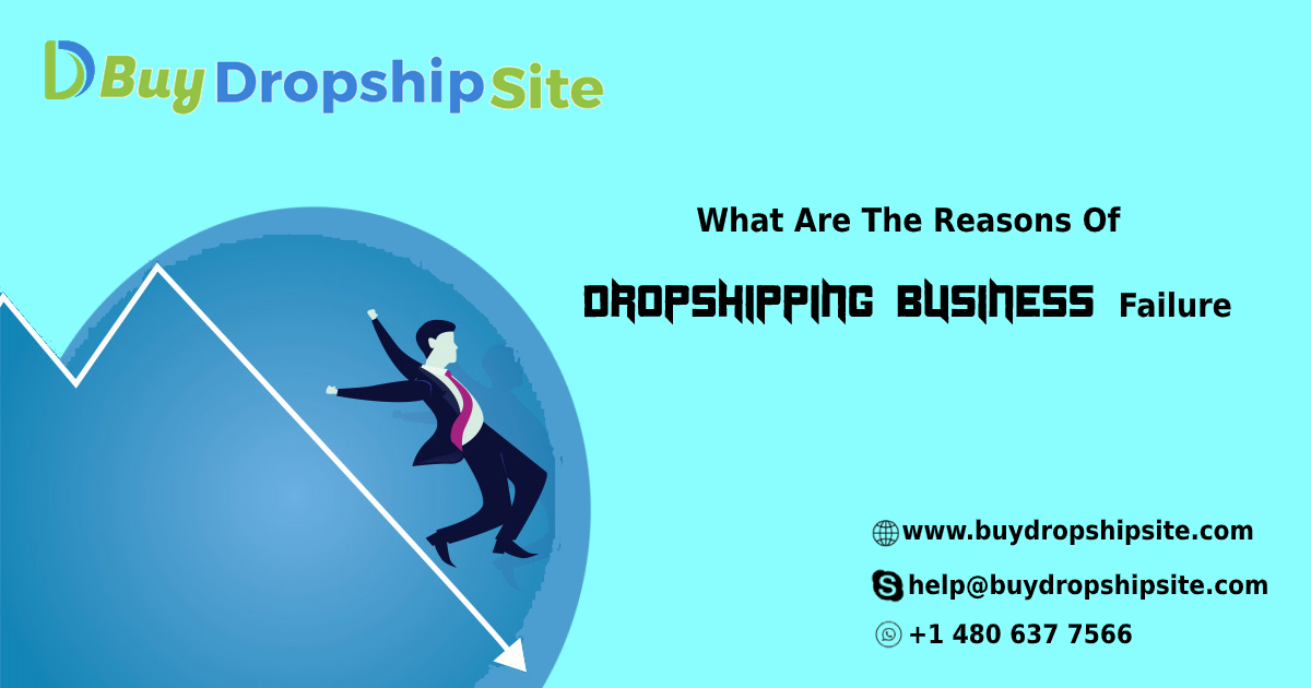 What Are The Reasons Of Dropshipping Business Failure