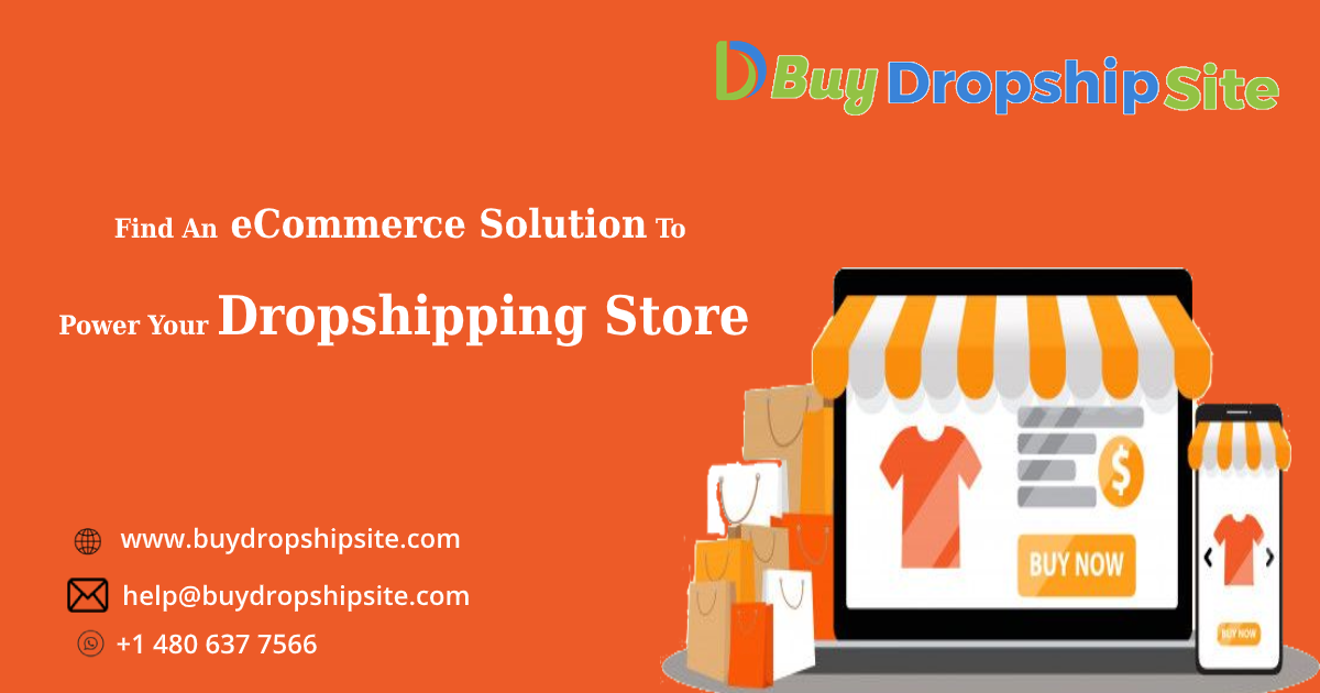 Find An eCommerce Solution To Power Your Dropshipping Store