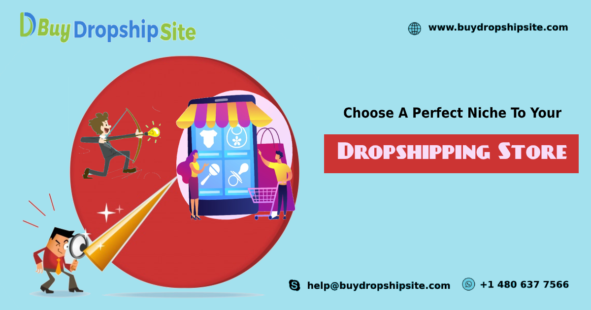 Choose A Perfect Niche To Your Dropshipping Store